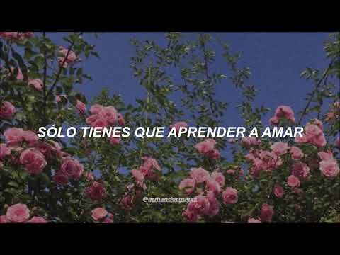 Tito "El Bambino" — El Amor [Letra]