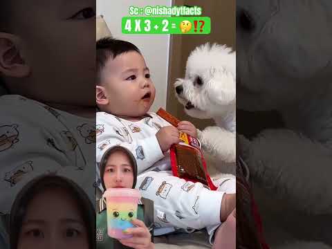 Guguk Bestieee ⁉️ Kasih Tau Mama Mau Datang 😁 nishadytfacts