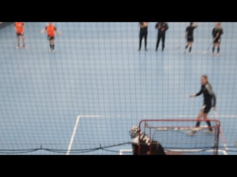 T21 SM jatkosarja TPS - ÅIF 26.3.