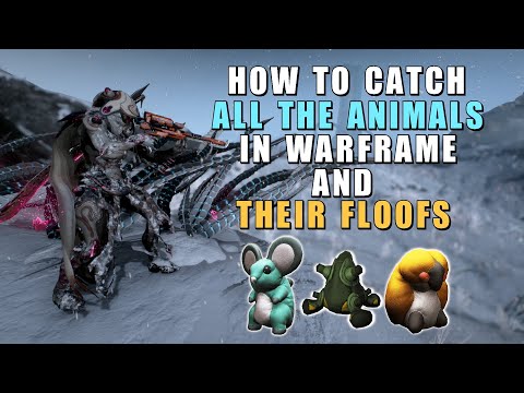 Conservation Guide to all open worlds - Plains of Eidolon, Orb Vallis & Cambion Drift - Warframe