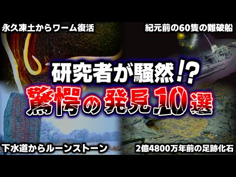 ウェールズでの考古学的発見は研究者を驚かせる:予想より古い
