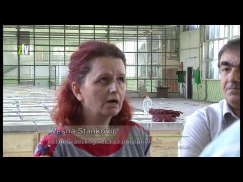 Podeljene besplatne košnice