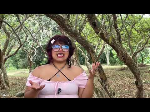 Diagnostico Ambiental Integral Pasto Nariño