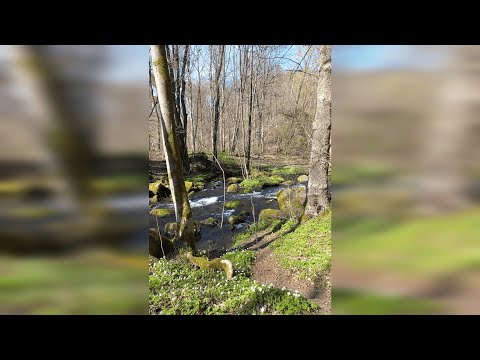 Dvořák, Biblische Lieder Nr. 4, Gott ist mein Hirte