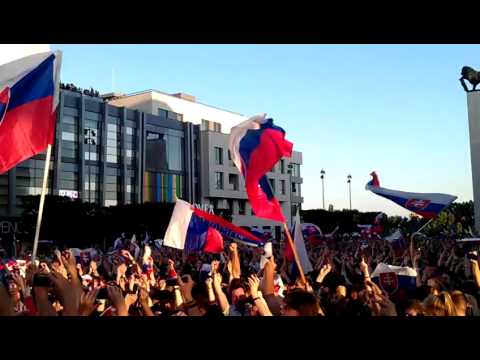 Slovakia winning a game at IIHF world championship in Icehockey 2012.