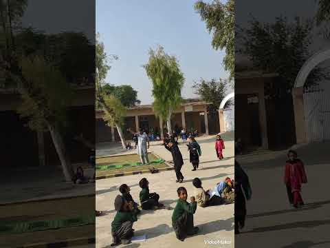 Why does a balloon filled with air move forward when its air is released? #physics #experiment