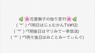 花菱撫子の独り言11