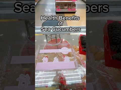 Health Benefits of Sea Cucumbers | T S Emporium