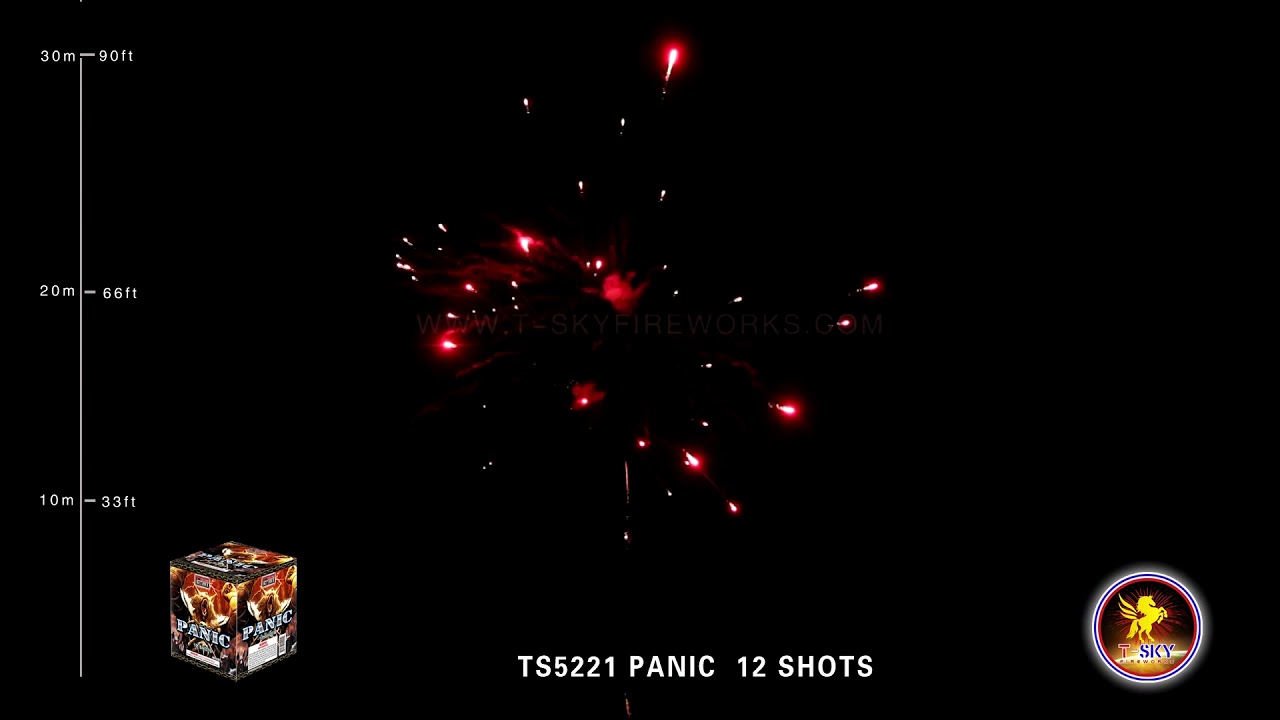 Panic TS5221