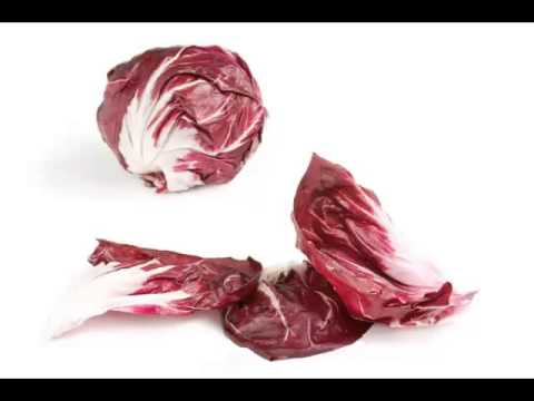 download lagu mp3 mp4 Radicchio Vegetable, download lagu Radicchio Vegetable gratis, unduh video klip Radicchio Vegetable