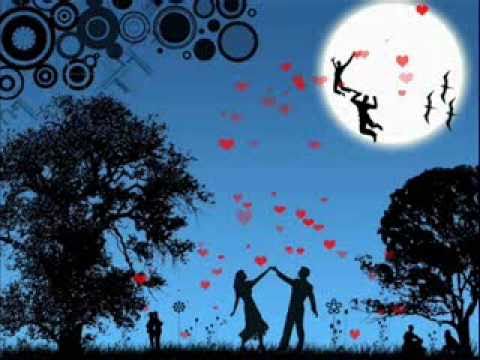 Veldina Alibegic - Necu da budem sjena.wmv