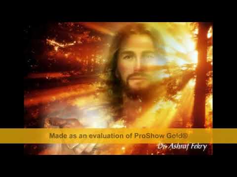 QUANTA LUZ FLUIDOTERAPIA 10h PARA DORMIR BEM | Universo da Flor