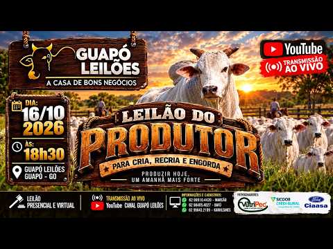 GUAPÓ LEILÕES – LEILÃO DE GADO – GUAPÓ, GOIÁS – 🐂  16/10/2026