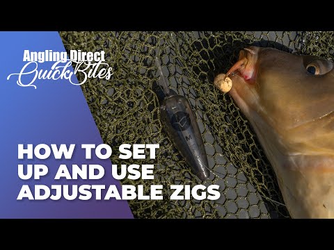 How To Set Up And Use Adjustable Zigs - Carp Fishing Quickbite