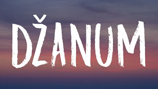 Cover art for Dzanum