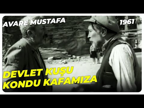 Avare Mustafa - Buraları Hep Apartman Yapacağım | Ayhan Işık Fatma Girik | Yeşilçam Filmi