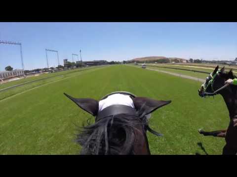 LYLE HEWITSON GO PRO VIEW