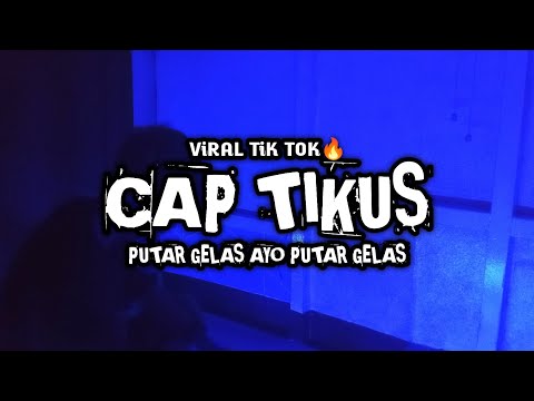 PUTAR GELAS - Cap Tikus ( Vald!!! Remix ) RBB-PRIDE 2026