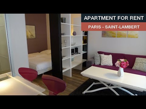 Apartment Tour - Studio in Paris 15th - S15918