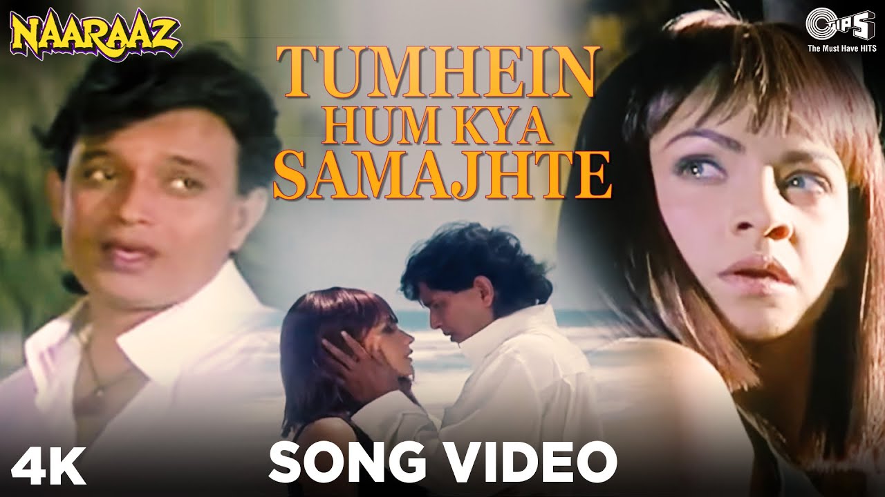 Tumhein Hum Kya Samajhte Lyrics - Naaraaz