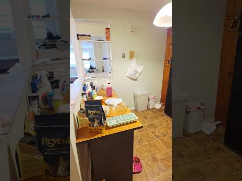 video 1