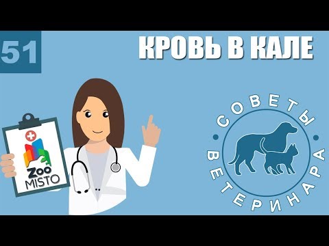 Болит голеностопный сустав в покое Центры по лечению позвоночника в балашихе
