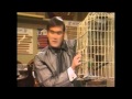 Monty Python REGROUP-It's NOT a DEAD PARROT !