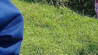Taman Buah Cikaret Free Video Search Site Findclipnet