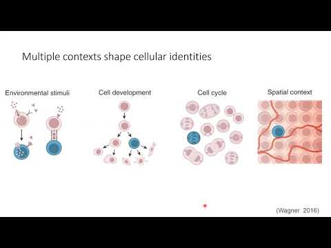 W20: Single-Cell RNA-Seq Analysis with Python - Day 3