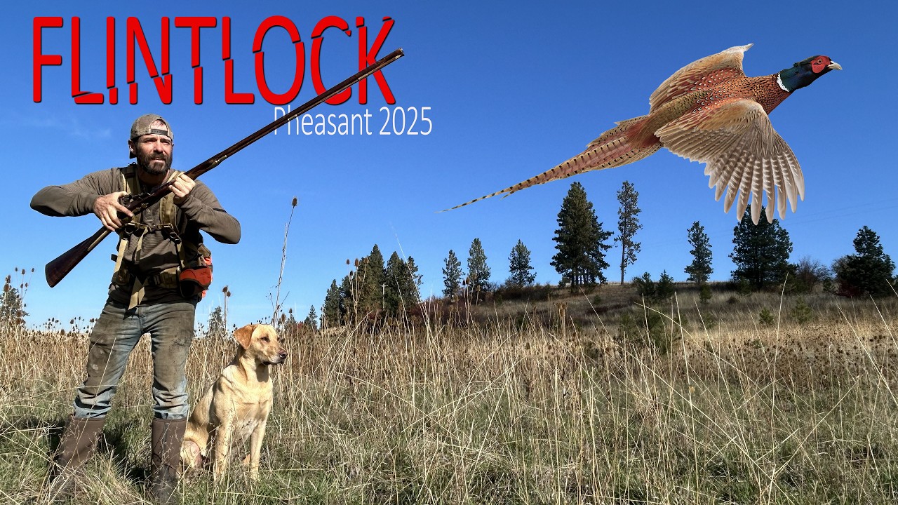 You've NEVER Seen a Pheasant Hunt like THIS! FLINTLOCK Hunting!