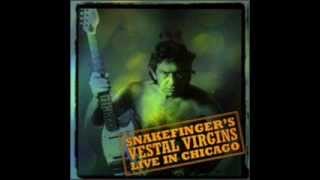 Snakefinger - Eva's Warning