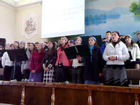 Surorile Vorosan si Prietenii