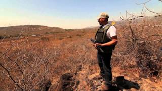 MEXICAN MILITIA