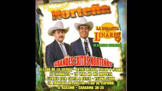 Flor de Capomo -  La Dinastia de Linares de Alfredo Guerrero