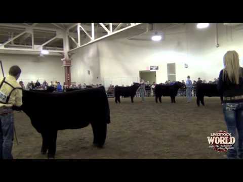Illinois Beef Expo - X-bred Steer Drive Sponsored By...