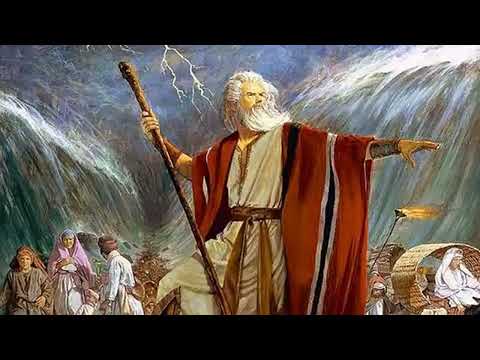 SERIE EL SALMISTA   ERICK PORTA   VAMOS A VENCER DISCO COMPLETO