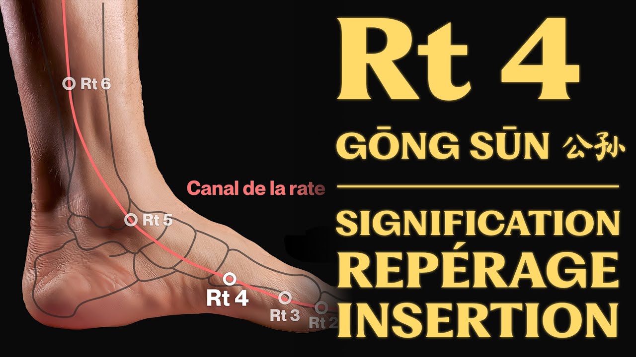 Rt 4 (gōng sūn 公孙) signification, repérage, insertion
