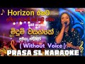 Meedum Wasanthe Amila Surendra මීදුම් වසන්තේ Horizon Backing Prasa Sl Karaok