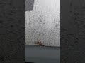 Snowflake ️ Snow 2025 Original Snow Fall Shape This Is What Actual Snow Looks Like USA US