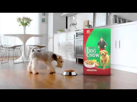 Purina Dog Chow