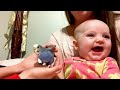 Animals That Make Us Laugh Funny Animal Videos