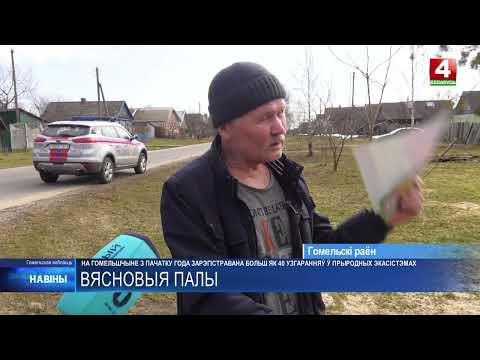 Более 40 возгораний в природных экосистемах произошло на Гомельщине с начала 2026-го 