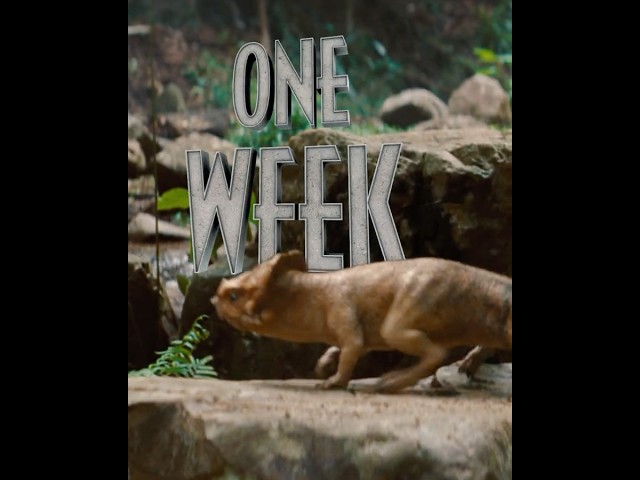 You ready? Jurassic World Rebirth hits theaters in ONE WEEK. Get your tickets now!