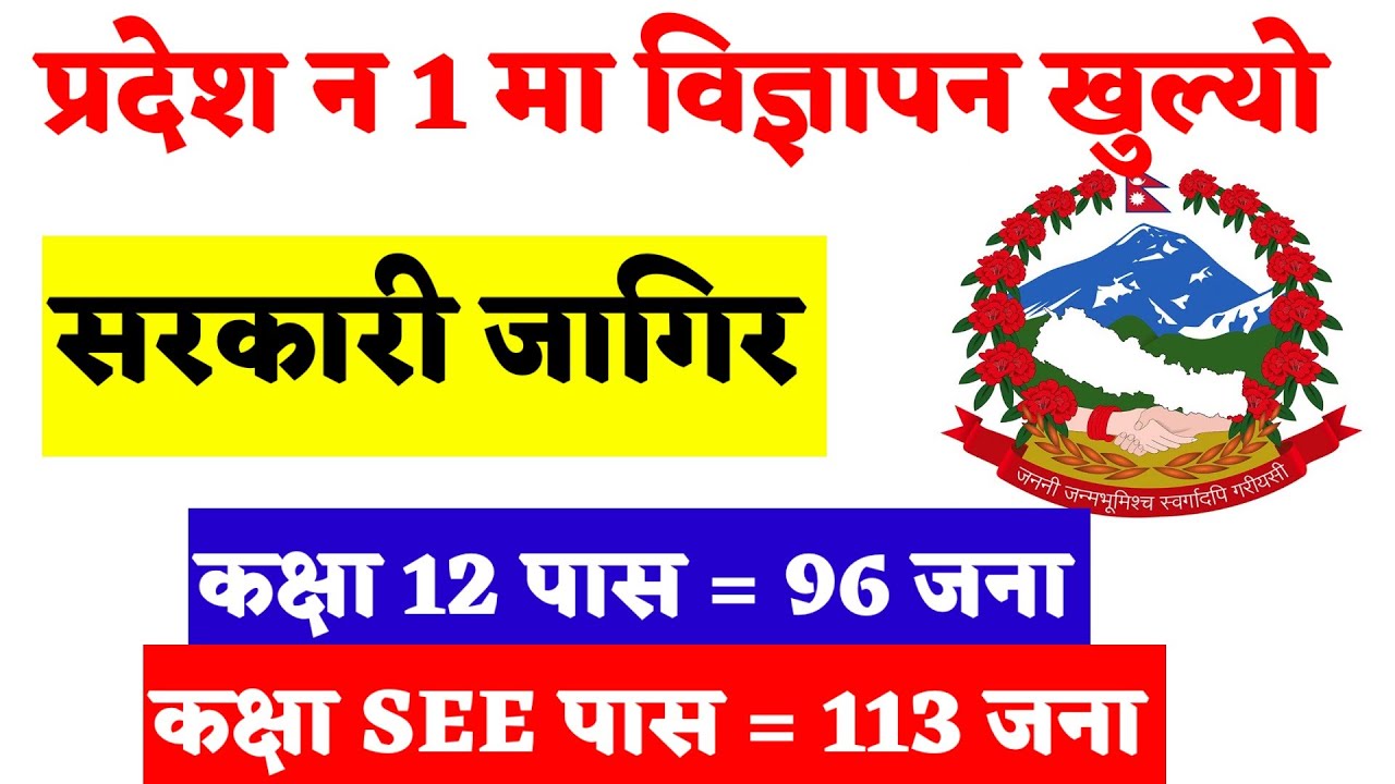 Pradesh no 1 loksewa aayog vacancy || loksewa vacancy 2079 || loksewa vacancy pradesh 1 | sunlightTv