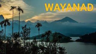 Wayanad | Kerala