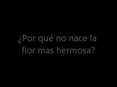 La vida se te escapa, David Fruci