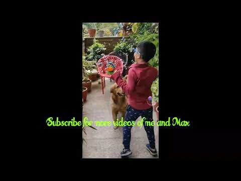 My adorable pet Max playing with bubbles....