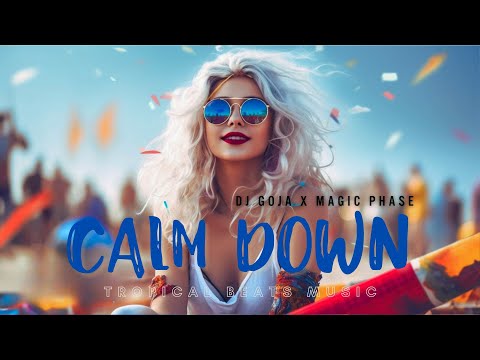 Dj Goja x Magic Phase - Calm Down #visualizer #remix