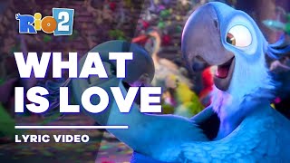 Rio 2 - What Is Love (Lyric Video / Letra)