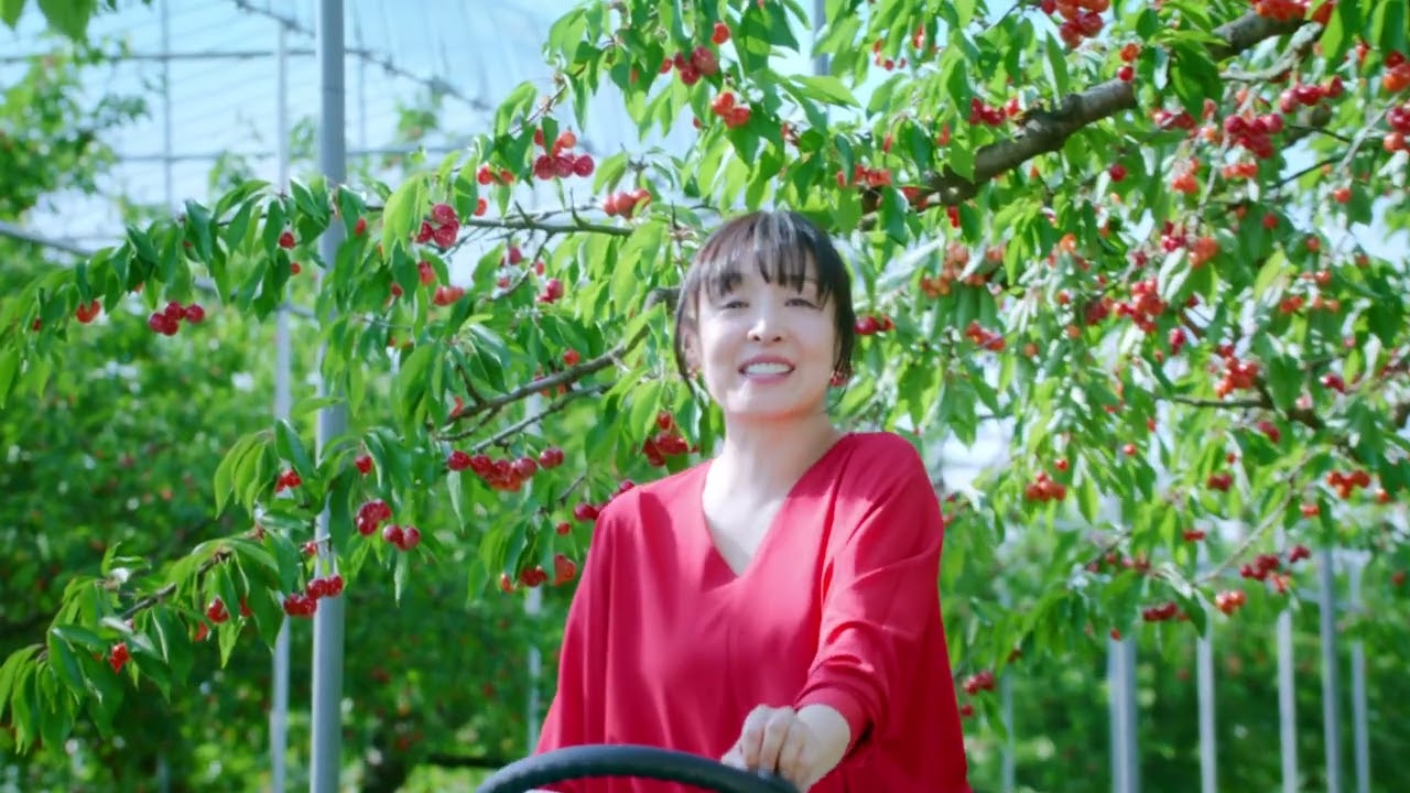 アキイロ作業作品のご紹介 |  たのしいOREC「さくらんぼ農園」篇